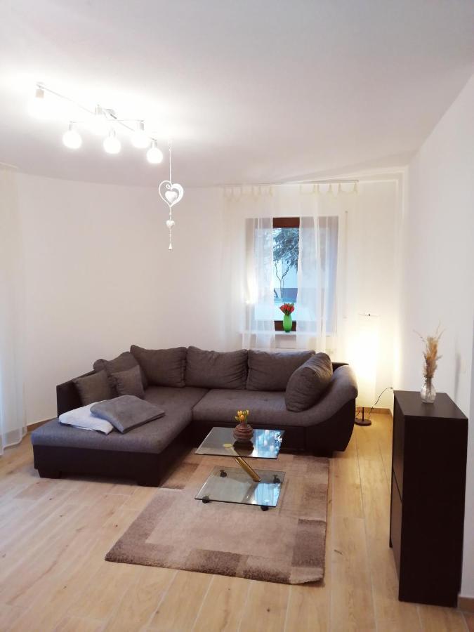 Ebenerdige Ferienwohnung Mit Grosser Terrasse In Der Naehe Des Waldes, Zum Wohlfuehlen Schoneck Εξωτερικό φωτογραφία